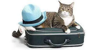 Отель Termas De Льерганес